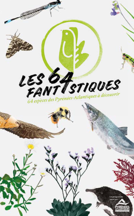 Les 64 Fantastiques (3.3 Mo, PDF)