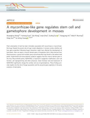 A Mycorrhizae-Like Gene Regulates Stem Cell and Gametophore Development in Mosses