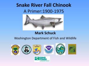 Snake River Fall Chinook a Primer:1900-1975