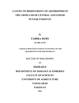 Tahira Ruby Zoology