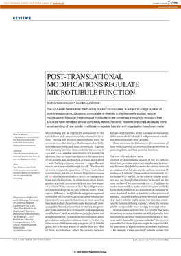Post-Translational Modifications Regulate Microtubule Function