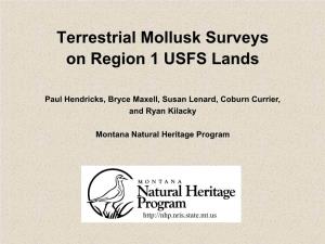 Terrestrial Mollusk Surveys on Region 1 USFS Lands