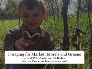 Foraging for Market: Morels and Greens