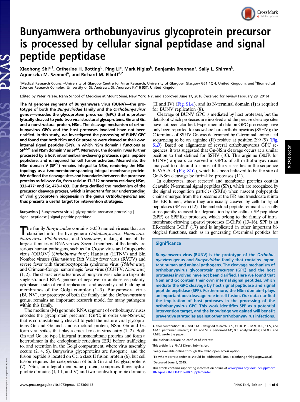 Bunyamwera Orthobunyavirus Glycoprotein Precursor Is Processed by Cellular Signal Peptidase and Signal Peptide Peptidase