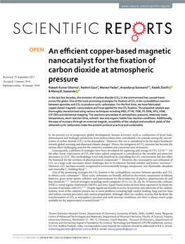 An Efficient Copper-Based Magnetic Nanocatalyst for the Fixation