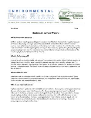 Bacteria in Surface Waters.Pdf