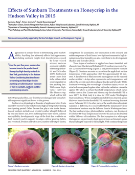 Effects of Sunburn Treatments on Honeycrisp in the Hudson Valley In