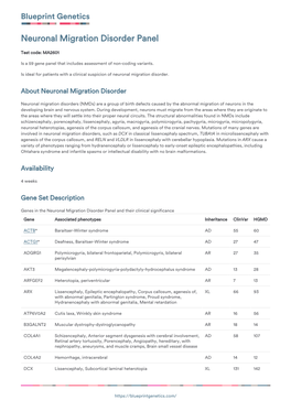 Blueprint Genetics Neuronal Migration Disorder Panel