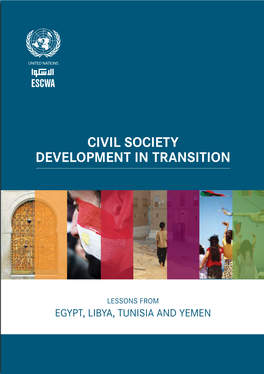 Civil Society Development in Transition: Lessons from Egypt