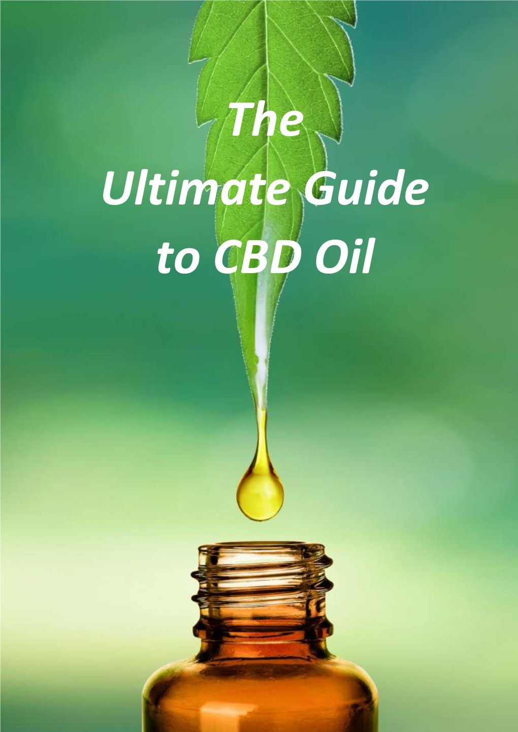 The Ultimate Guide to CBD Oil