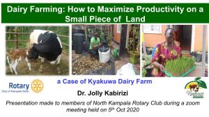 Dairy Farming: How to Maximize Productivity on a Small Piece of Land