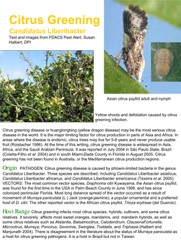 Citrus Greening Candidatus Liberibacter Text and Images from FDACS Pest Alert, Susan Halbert, DPI