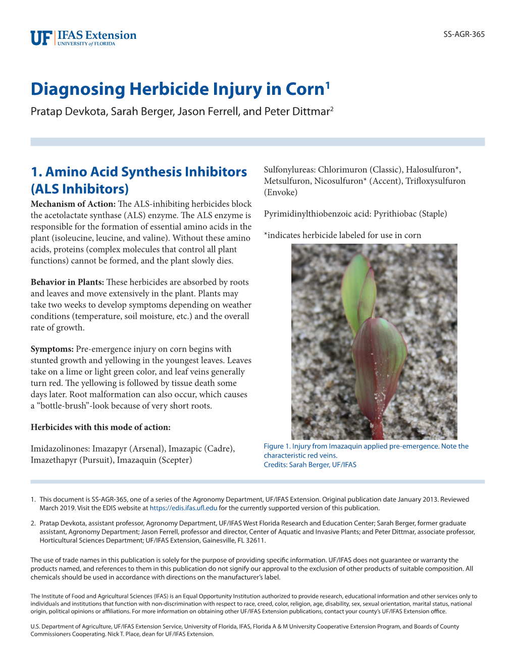 Diagnosing Herbicide Injury in Corn1 Pratap Devkota, Sarah Berger, Jason Ferrell, and Peter Dittmar2