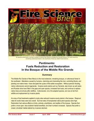 Fuels Reduction and Restoration in the Bosque of the Middle Rio Grande
