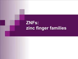 Znfs: Zinc Finger Families MBV4230 Zinc Finger Proteins