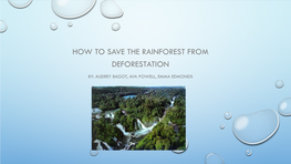 How to Save the Rainforest from Deforestation