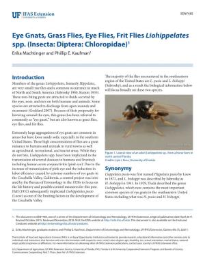 Eye Gnats, Grass Flies, Eye Flies, Frit Flies Liohippelates Spp. (Insecta: Diptera: Chloropidae)1 Erika Machtinger and Phillip E