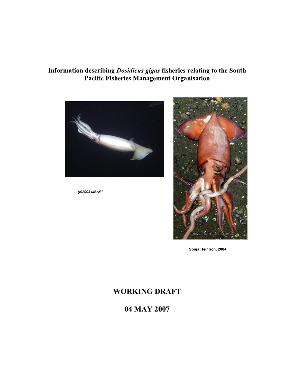 Dosidicus Gigas Fisheries Relating to the South Pacific Fisheries Management Organisation