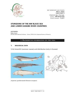 Sturgeons of the Nw Black Sea and Lower Danube River Countries
