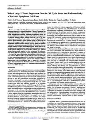 Role of the P53 Tumor Suppressor Gene in Cell Cycle Arrest and Radiosensitivity of Burkitt's Lymphoma Cell Lines