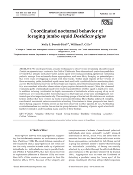 Coordinated Nocturnal Behavior of Foraging Jumbo Squid Dosidicus Gigas