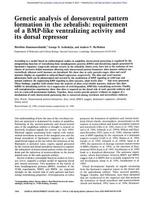 Genetic Analysis of Dorsoventral Pattern Formation in the Zebrafish: Requirement of a BMP-Like Ventralizing Activity and Its Dorsal Repressor