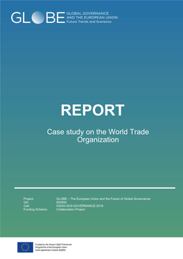 Case Study on the World Trade Organization