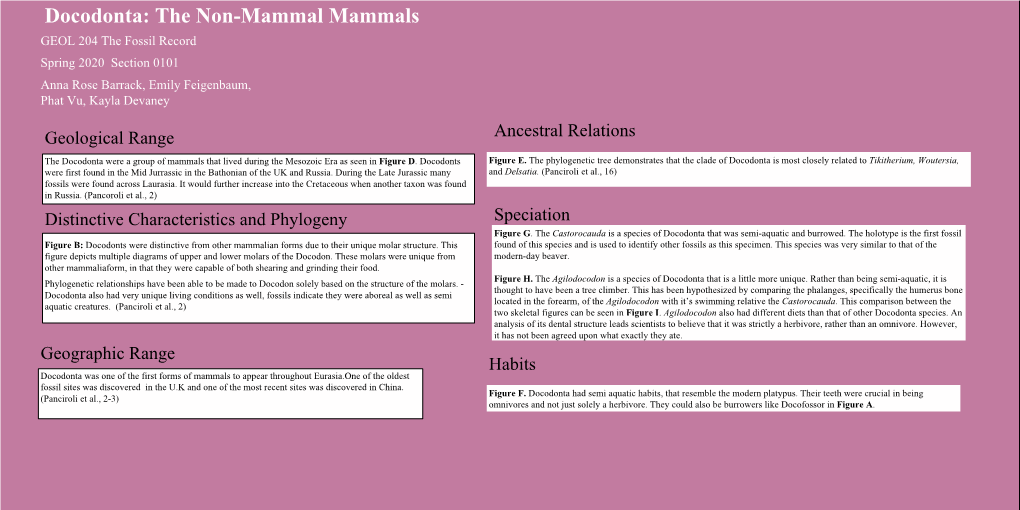 Geological Range Distinctive Characteristics and Phylogeny