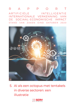 Rapport AI Internationale Verkenning Van De Sociaaleconomische