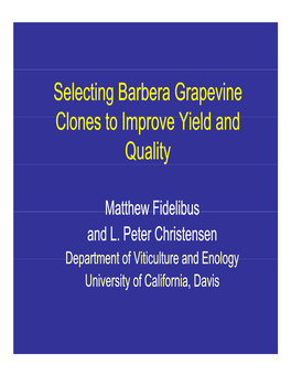 Evaluation of Barbera Clones