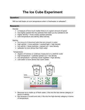 The Ice Cube Experiment