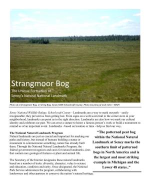 Strangmoor Bog the Unique Formation of Seney’S Natural National Landmark