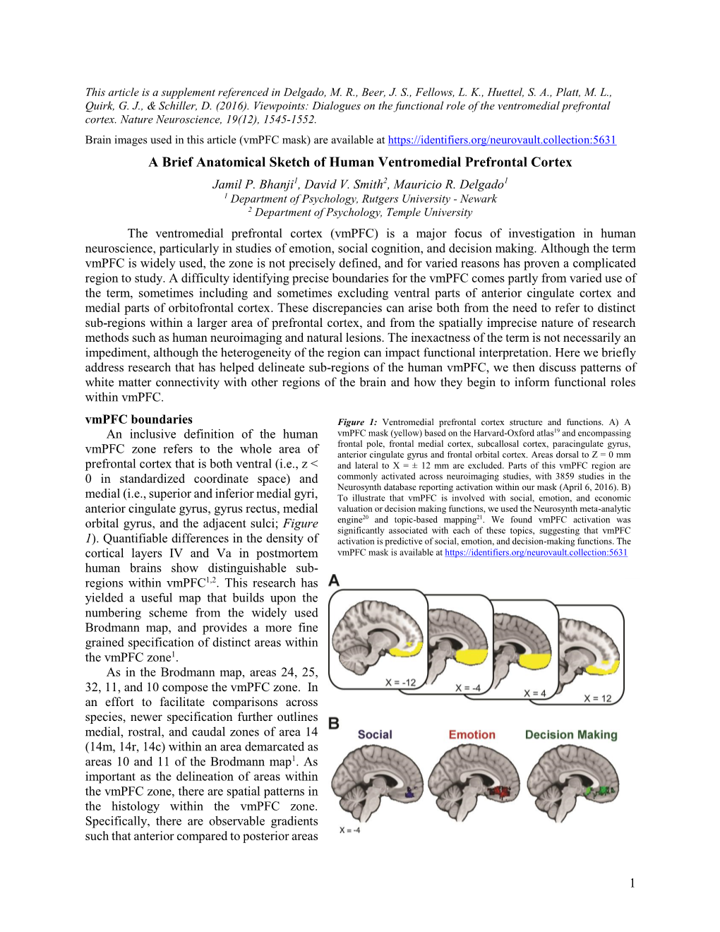 A Brief Anatomical Sketch of Human Ventromedial Prefrontal Cortex Jamil P