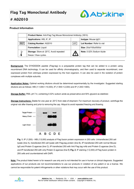 Flag Tag Monoclonal Antibody # A02010