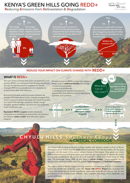 REDD+ Factsheet Asofaug04