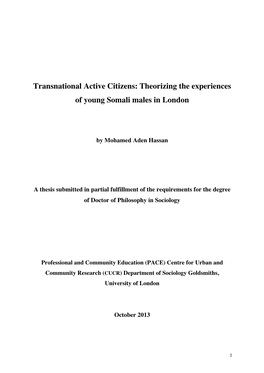Transnational Active Citizens: Theorizing the Experiences of Young Somali Males in London