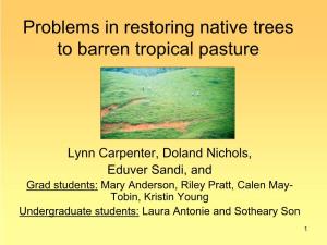 Problems in Restoring Native Trees to Barren Tropical Pasture