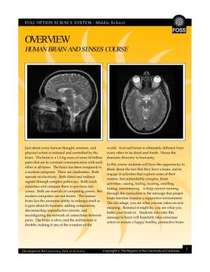 Overview Human Brain and Senses Course