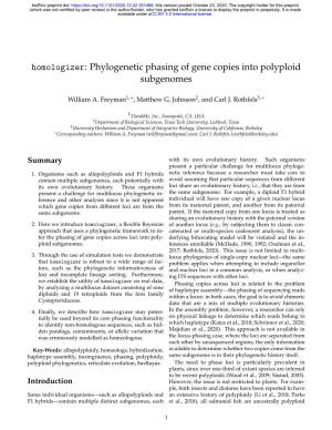 Phylogenetic Phasing of Gene Copies Into Polyploid Subgenomes
