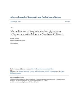 Naturalization of Sequoiadendron Giganteum (Cupressaceae) in Montane Southern California Rudolf Schmid University of California, Berkeley
