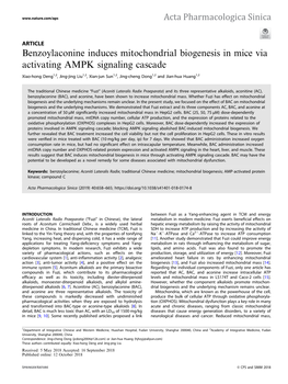 Benzoylaconine Induces Mitochondrial Biogenesis in Mice Via Activating AMPK Signaling Cascade