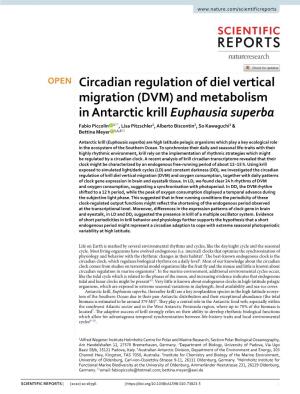 Circadian Regulation of Diel Vertical Migration (DVM)