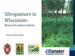 Silvopasture in Wisconsin: Research Observations