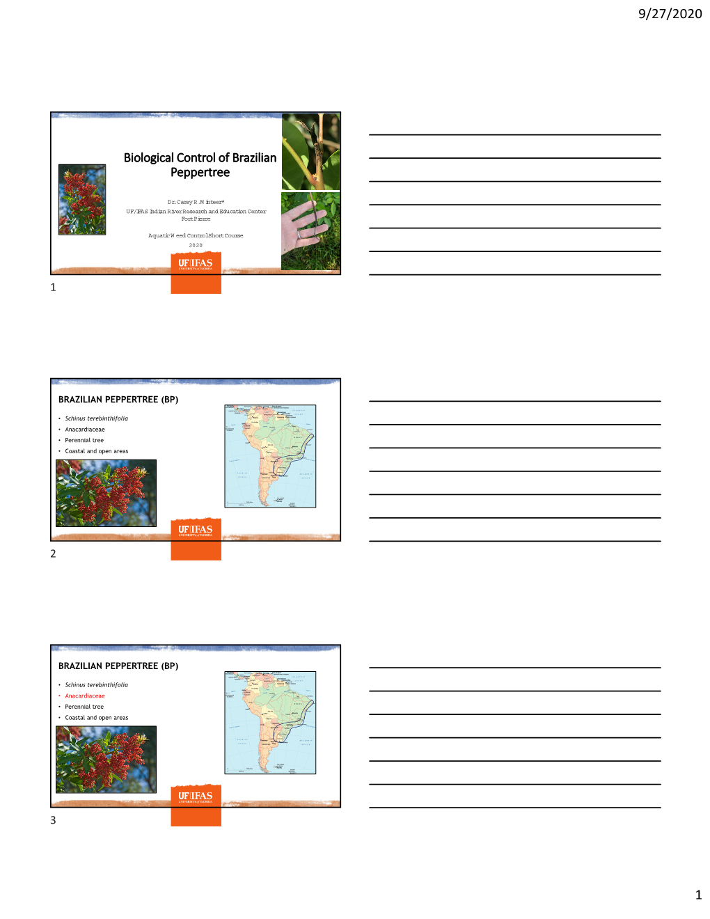 Biological Control of Brazilian Peppertree