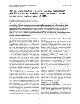 Psoxs::Lacz Recombinant Pbr322 Plasmid As a Sensitive Reporter of Internal Reactive Oxygen Species in Escherichia Coli Dh5α