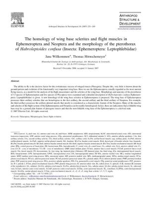 The Homology of Wing Base Sclerites and Flight Muscles In