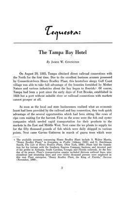 The Tampa Bay Hotel