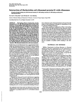 Interaction of Escherichia Coli Ribosomal Protein S1 with Ribosomes