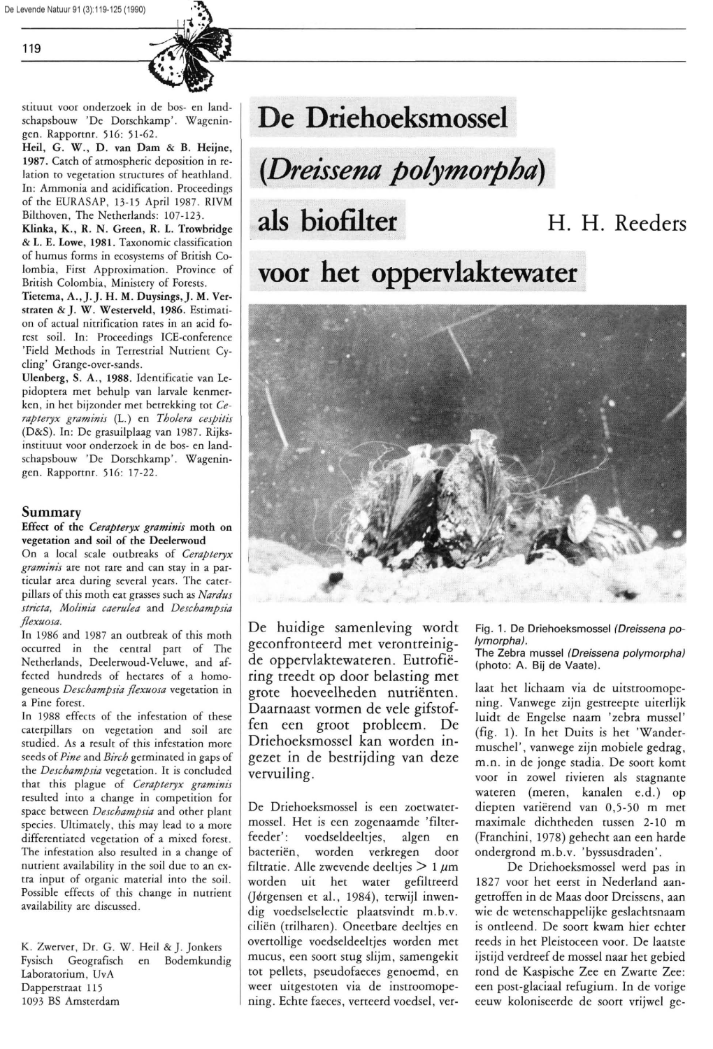Reeders, H.H. (1990) De Driehoeksmossel (Dreissena Polymorpha) Als Biofilter Voor Het Oppervlaktewater. DLN 91: 119-125
