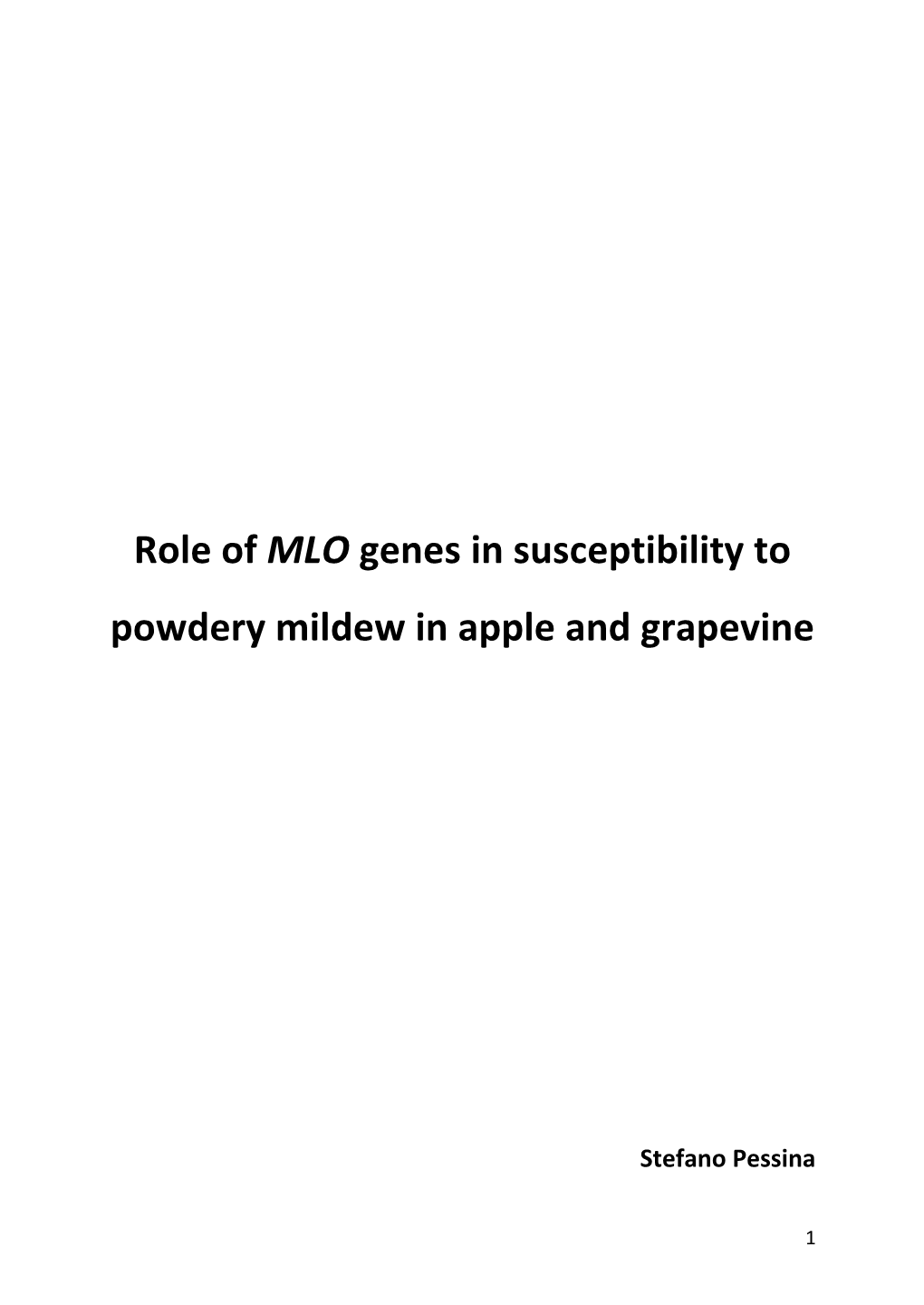 Role of MLO Genes in Susceptibility to Powdery Mildew in Apple and Grapevine